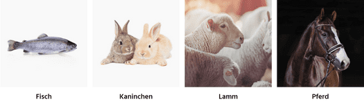 Webshop Erstellung Heise RegioConcept
